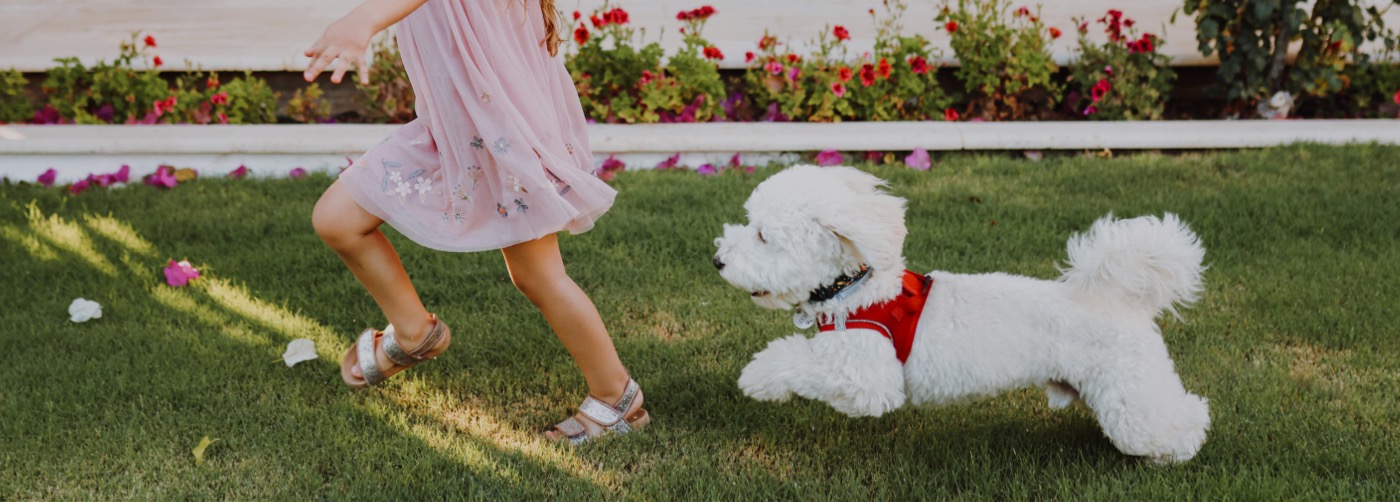 SoCal DogWatch, Long Beach, California | Outdoor Hidden Dog Fences Slider Image